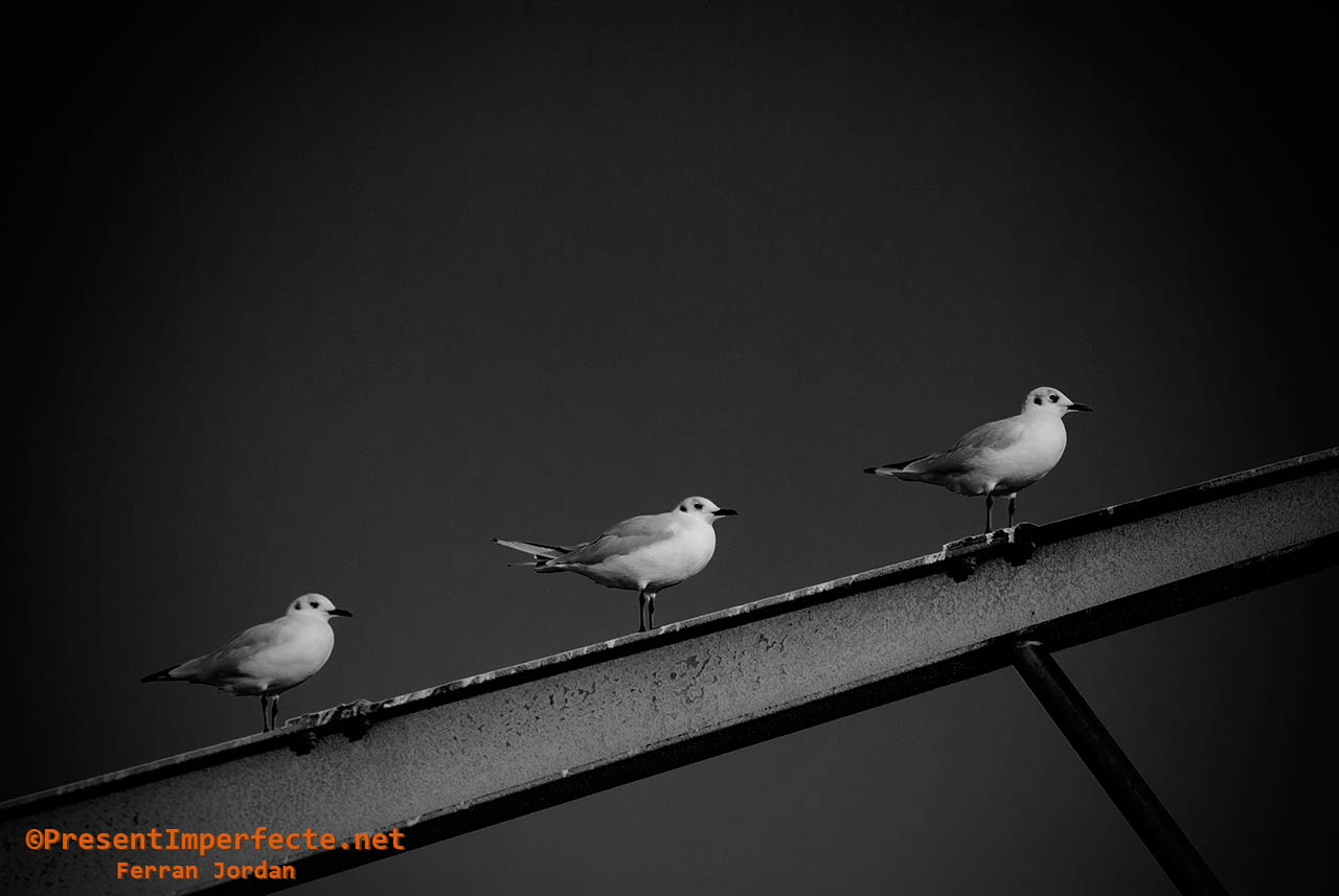 Three in a line Three in a line