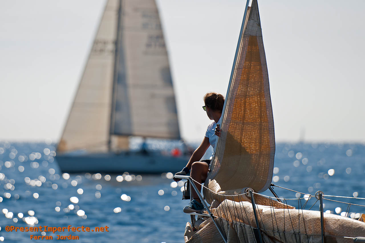 Synera Cup (III) Synera Cup (III)