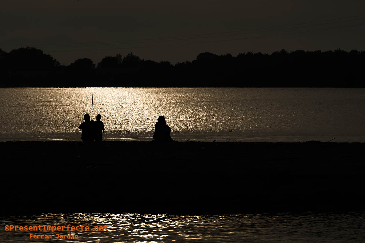 Pesca dorada Pesca dorada