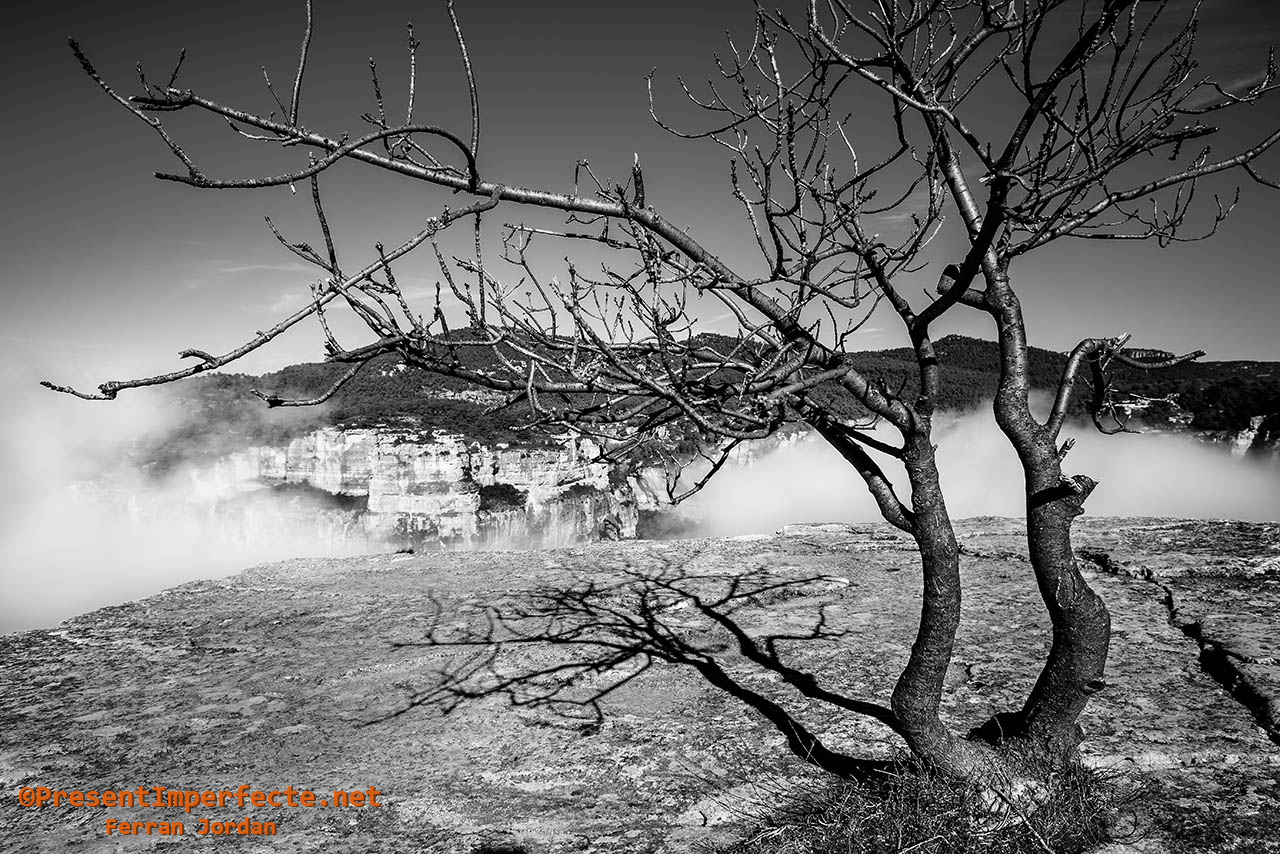 De piedra y niebla De piedra y niebla