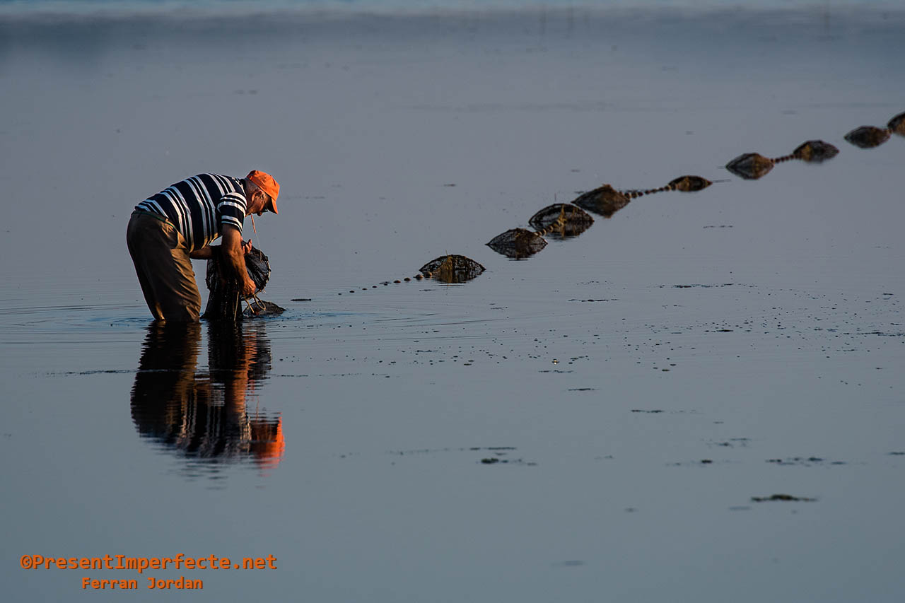 Xorrar: recuperar los peces de la red Xorrar: recuperar los peces de la red